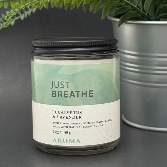BBW Just Breathe Eucalyptus & Lavender Bath & Body Works Single Wick Candle - Picture 1 of 10